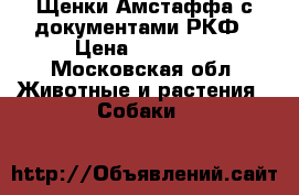 Щенки Амстаффа с документами РКФ › Цена ­ 20 000 - Московская обл. Животные и растения » Собаки   